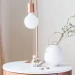 鲸鱼体育